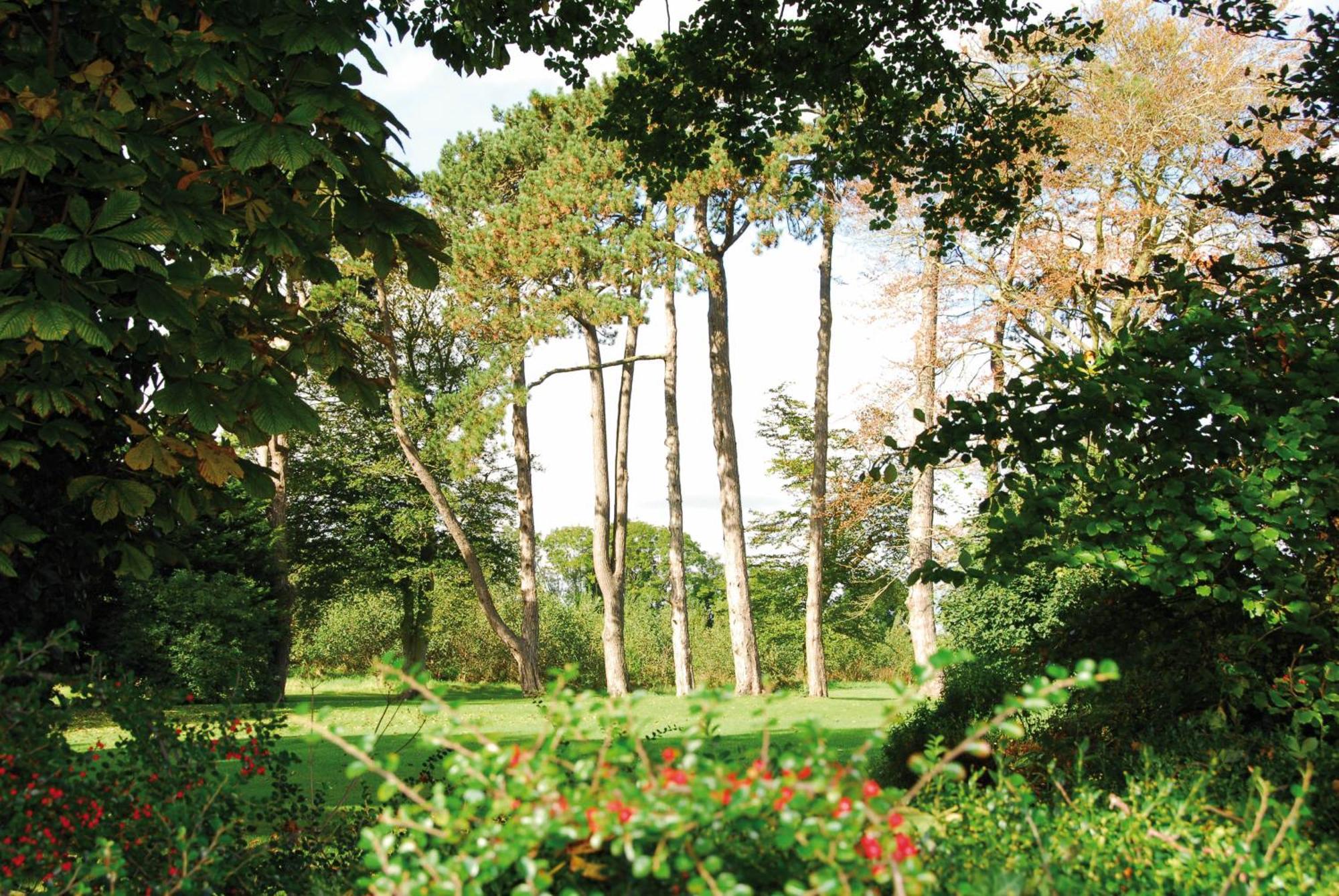 סוורדס Roganstown Hotel & Country Club מראה חיצוני תמונה